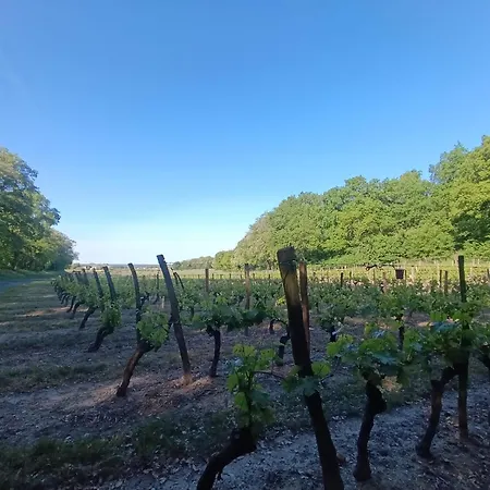 Appartamento Spacieux Au Pied Du Chateau Saumur